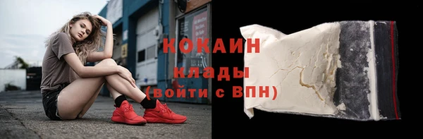 хмурый Лиски