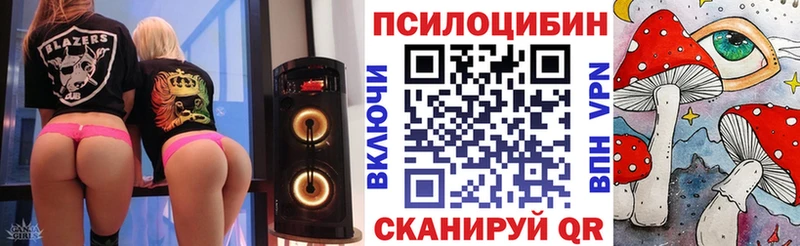 Купить закладки  Славгород  Галлюциногенные грибы Psilocybine cubensis 